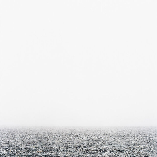 _Surface I_