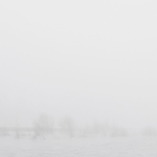 _Surface II_