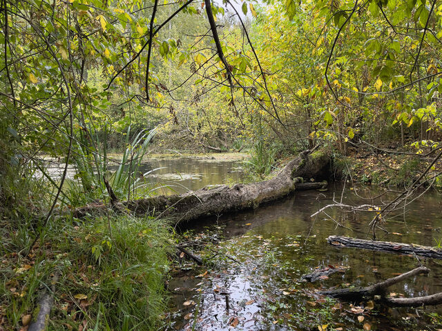 _Territoires refuges_