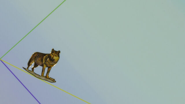 _Entre chiens et loups_