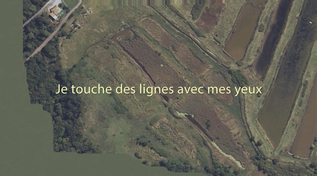 végétal / altérité