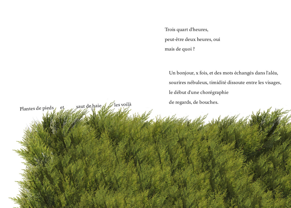 235355-power_danceforplants_p_22-23_copy.jpg