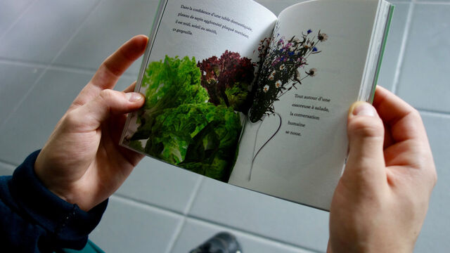 _danceforplants en Ariège_