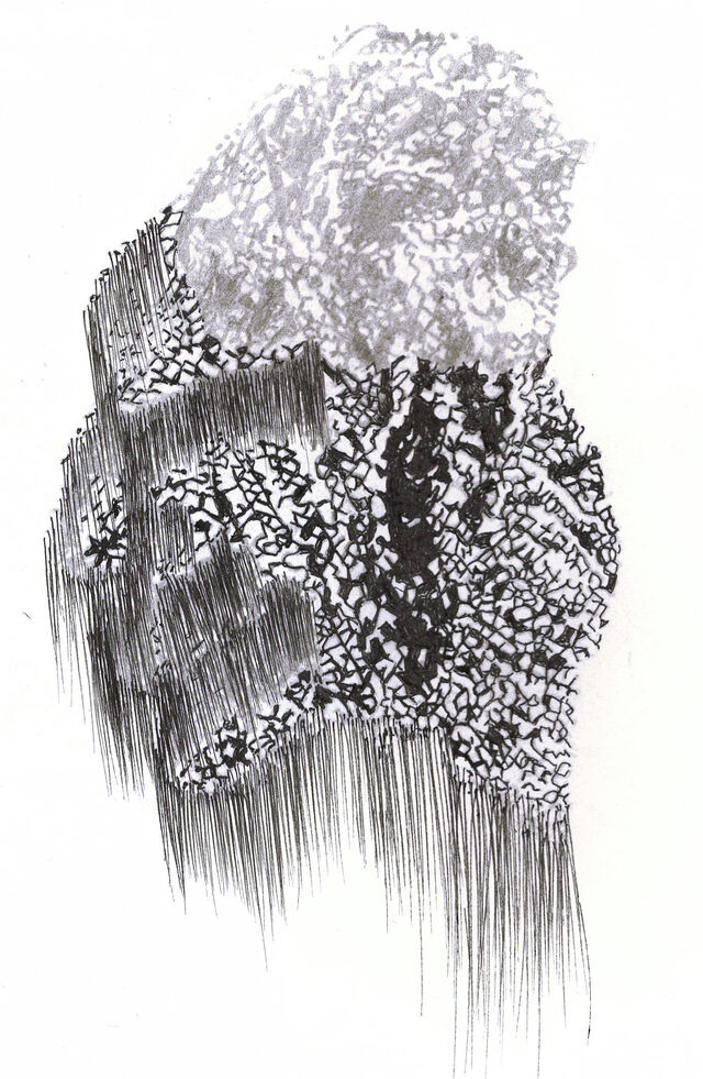 255002-portalis-afro-nume_riser_8.jpg