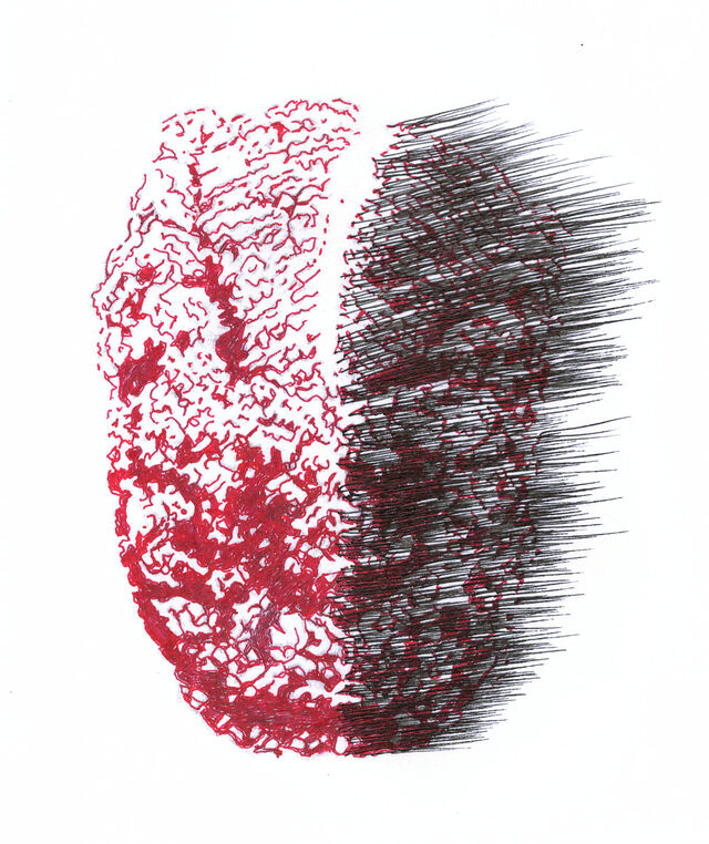255001-portalis-afro-nume_riser_11.jpg