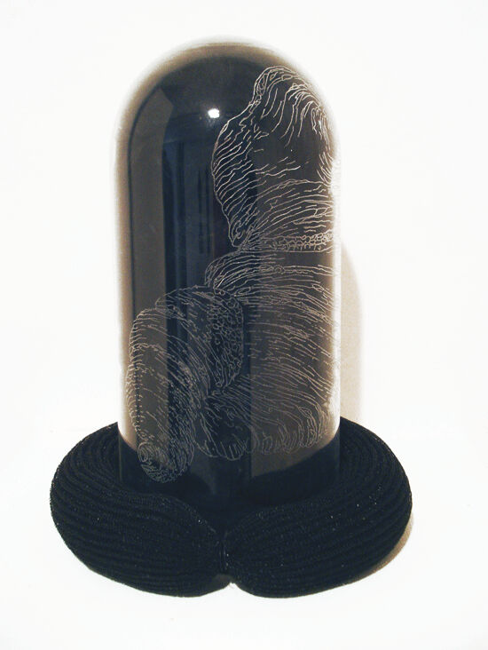 254252-portalis-coquillages-fdbc6a_e4cba6cb93734c67966cf4b69e7ca312_mv2.jpg
