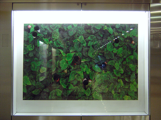 254589-portalis-metro_vitrine.jpg