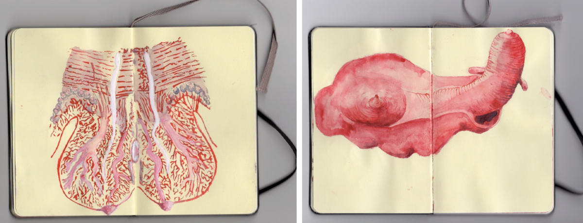 254525-portalis-mollusques-nume_riser-2.png