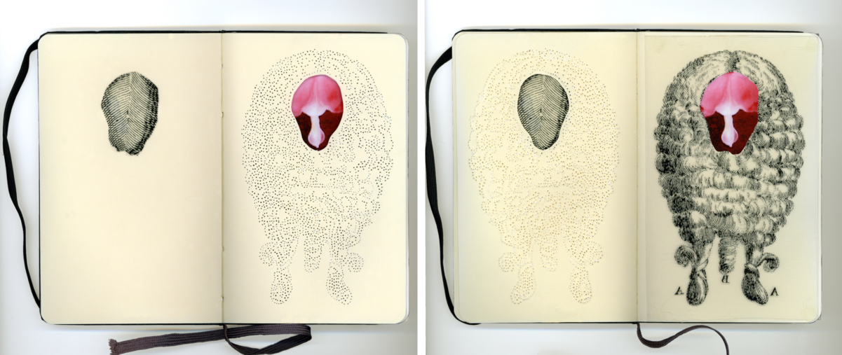 254242-portalis-perruques-moleskine-test_2.png