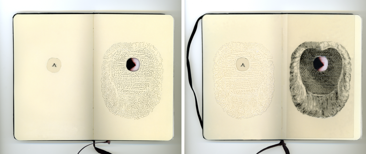 254245-portalis-perruques-moleskine-test.png