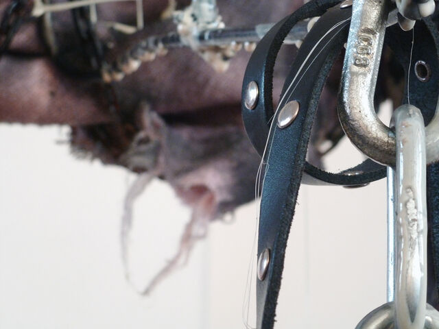 262845-cuquel-rot-yo-lo-vi-rot_de_tail_chaine_copie.jpg