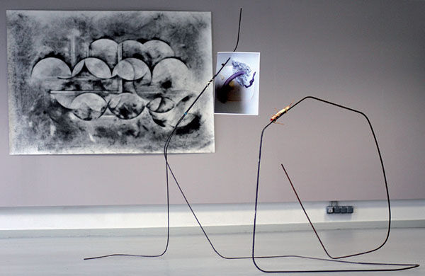 222064-gcuquel_transhumancedepeauxmortes_pdf3.jpg