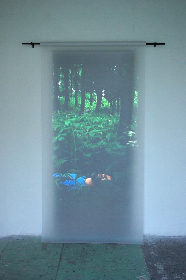 262027-hillairet_gh03_dormeur_a_suivre_lieu_d_art_2009.jpg