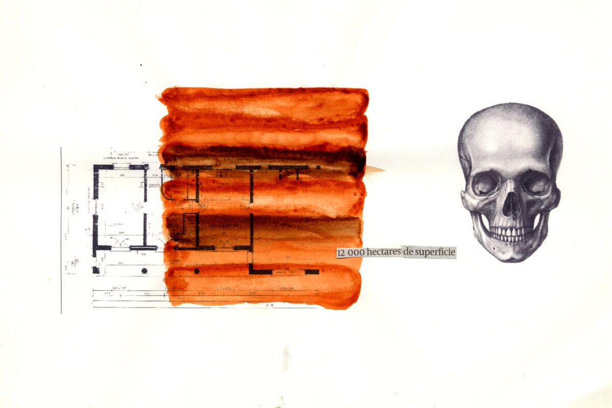260301-hillairet_parcelles_scans_dessins_010.jpg