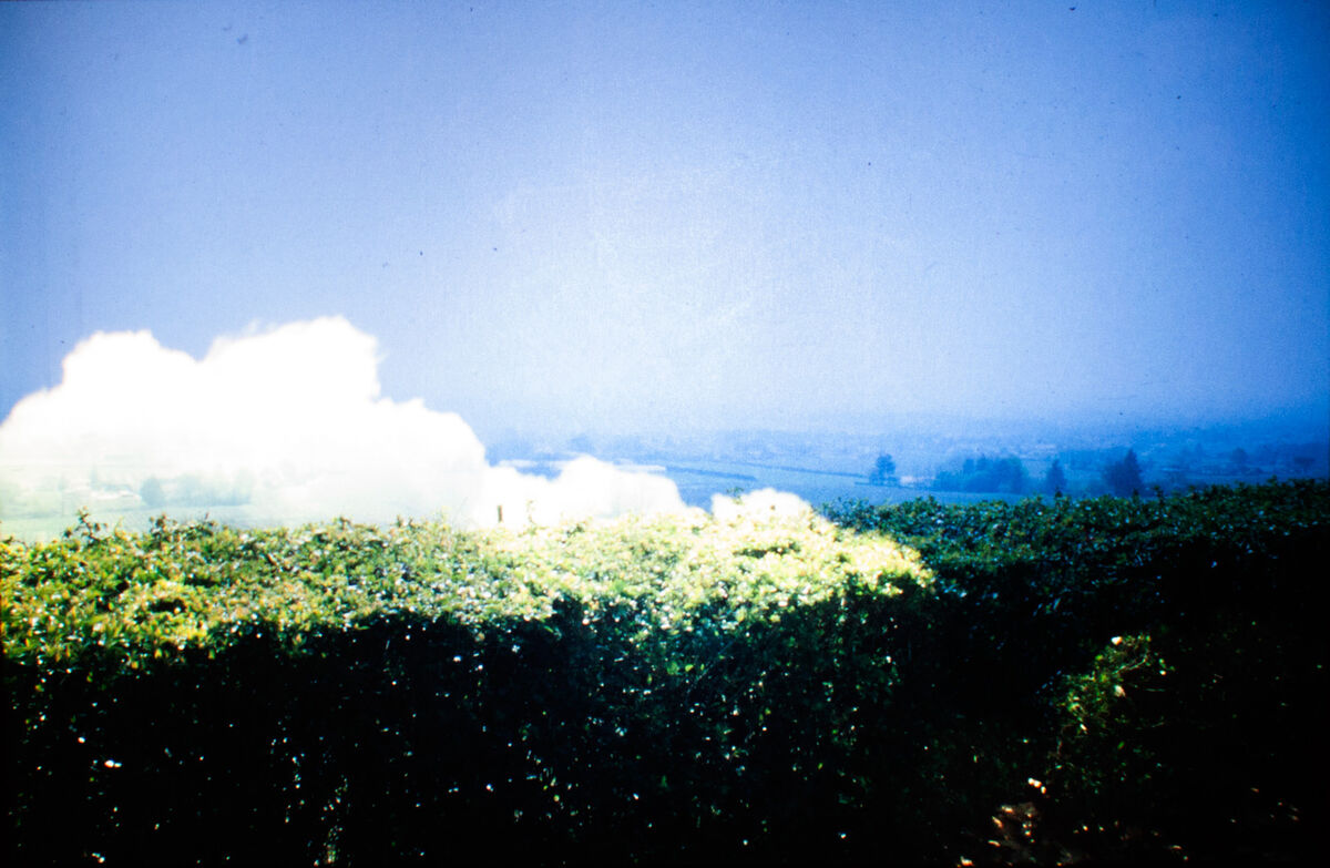 263539-hillairet_paysage-chronique_paysage_chronique_diapo_proj_15a.jpg