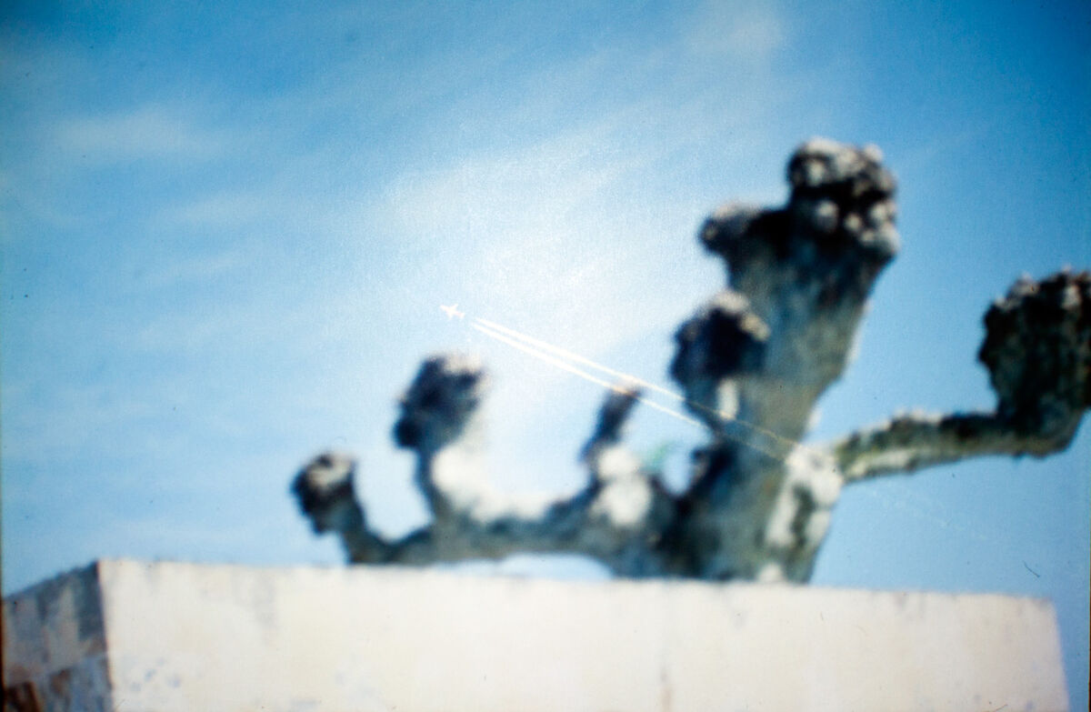 263528-hillairet_paysage-chronique_paysage_chronique_diapo_proj_03b.jpg