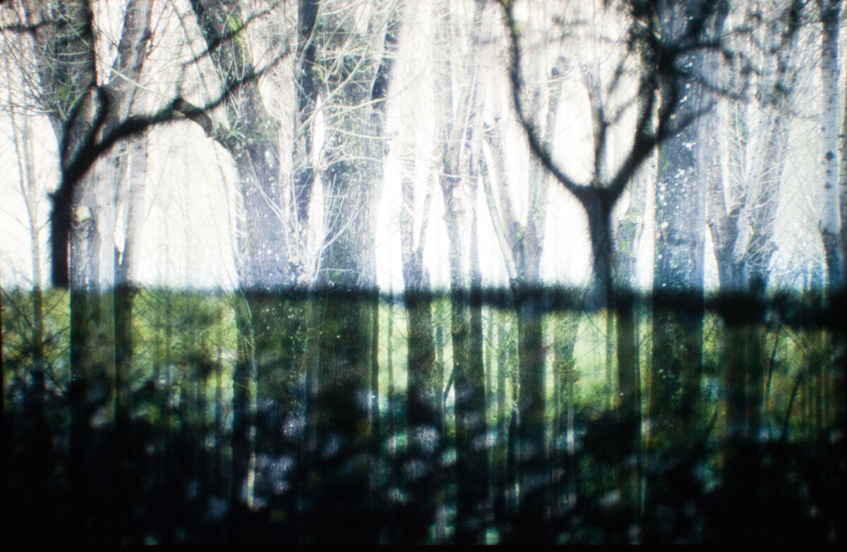 263532-hillairet_paysage-chronique_paysage_chronique_diapo_proj_08b.jpg