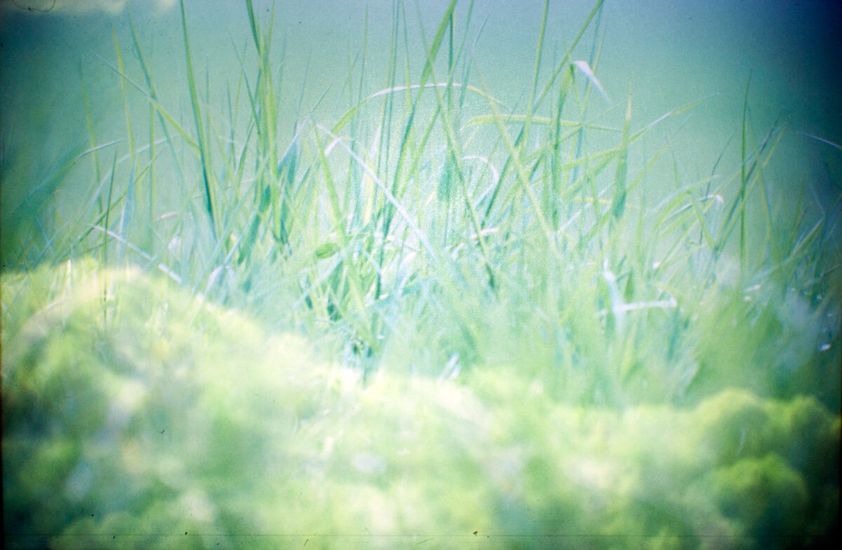 263530-hillairet_paysage-chronique_paysage_chronique_diapo_proj_06a.jpg