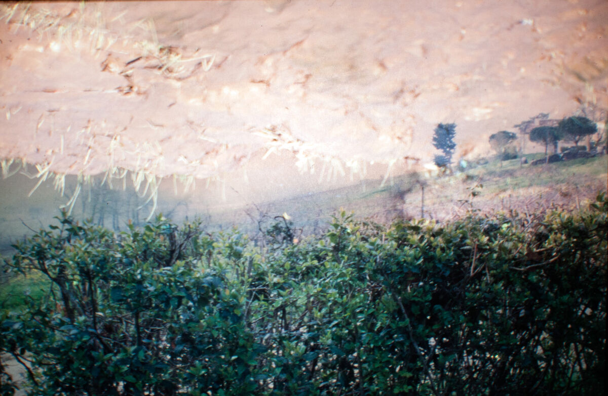 263537-hillairet_paysage-chronique_paysage_chronique_diapo_proj_12a.jpg