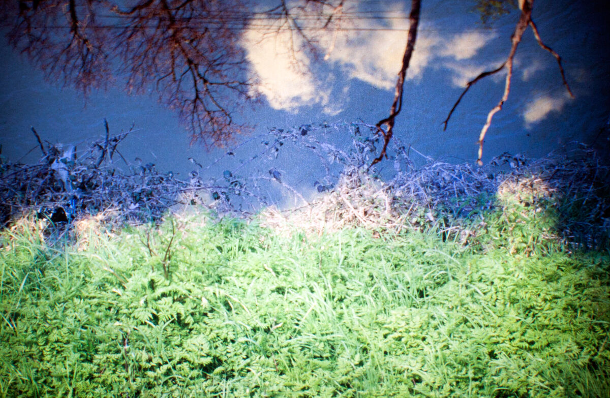 263526-hillairet_paysage-chronique_paysage_chronique_diapo_proj_01b.jpg