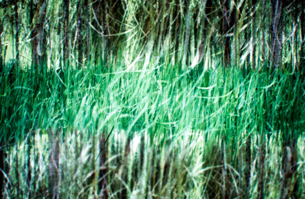 263538-hillairet_paysage-chronique_paysage_chronique_diapo_proj_14b.jpg