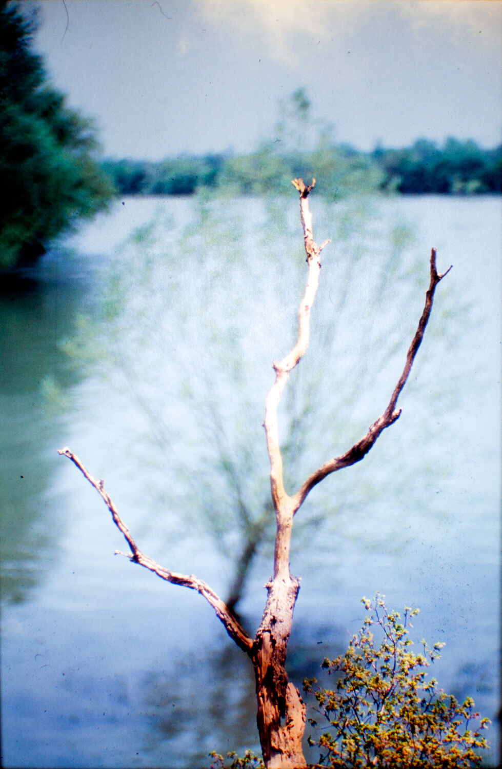 263531-hillairet_paysage-chronique_paysage_chronique_diapo_proj_07b.jpg
