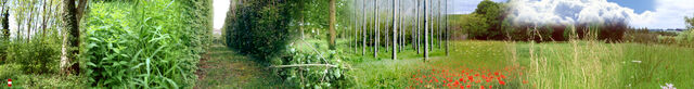 263553-hillairet_paysage_chronique_recto.jpg