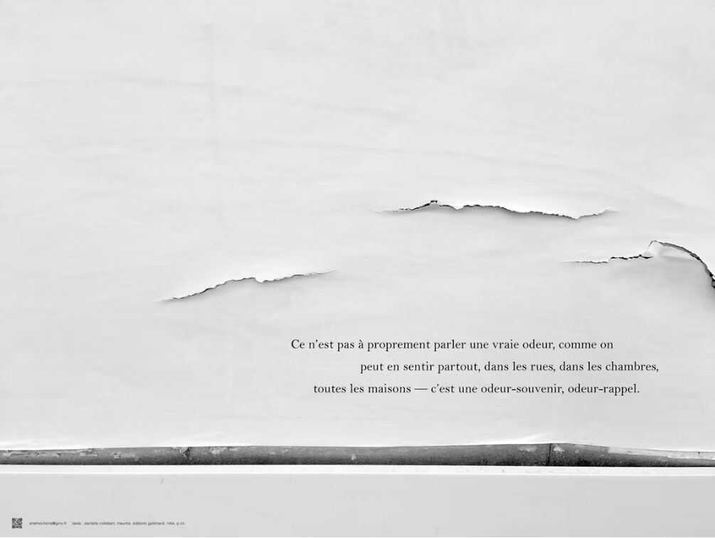 261927-hillairet_anemochorie_begles1.jpg