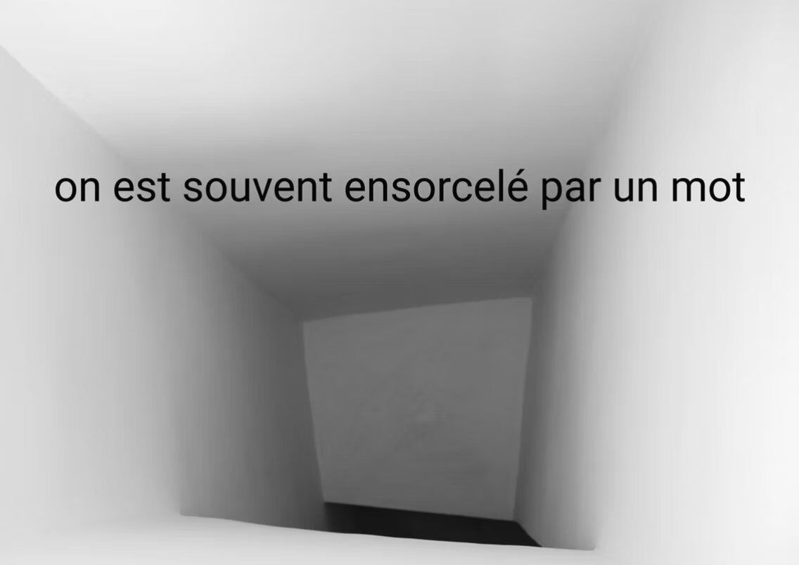 262087-hillairet_anemochorie_rioux-martin1.jpg