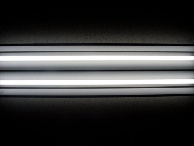 260401-hillairet_neons-072.jpg