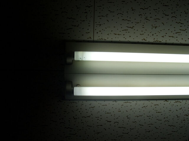 260352-hillairet_neons-007.jpg