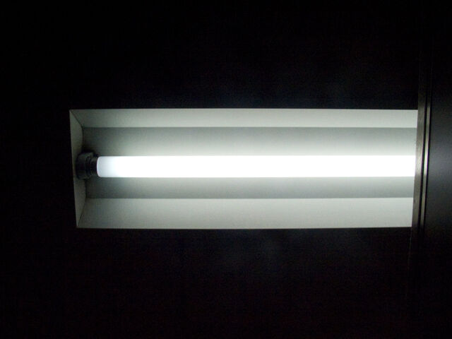260435-hillairet_neons-125.jpg