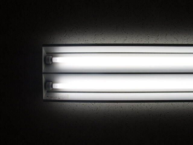 260403-hillairet_neons-073.jpg