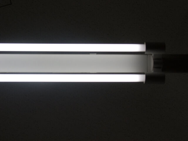 260389-hillairet_neons-057.jpg