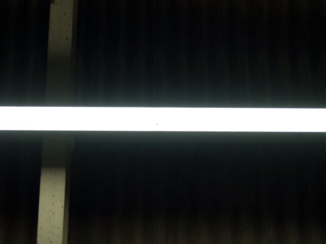 260365-hillairet_neons-022.jpg
