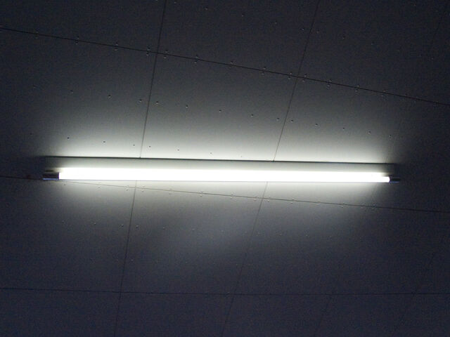 260384-hillairet_neons-049.jpg