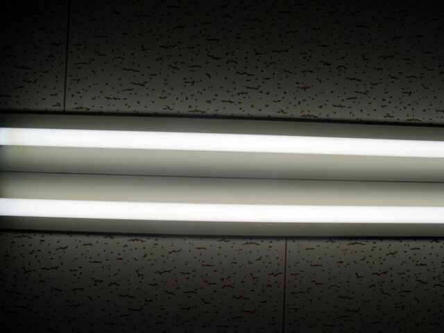 260354-hillairet_neons-009.jpg