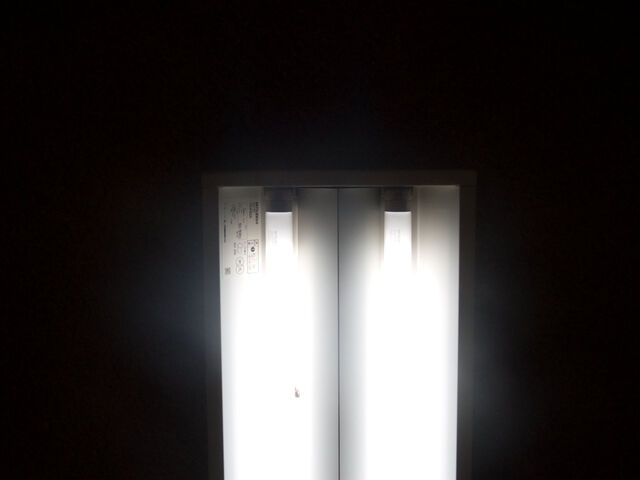 260350-hillairet_neons-005.jpg