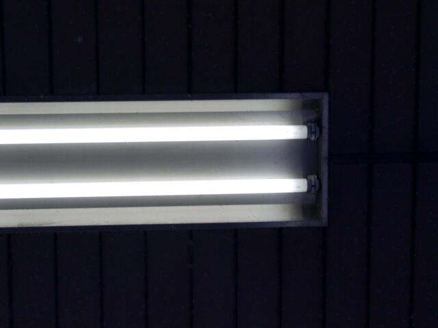 260375-hillairet_neons-034.jpg