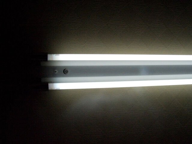 260383-hillairet_neons-048.jpg