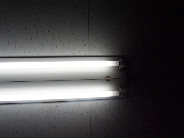 260390-hillairet_neons-056.jpg