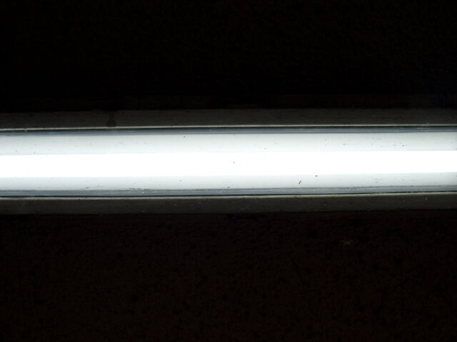 260372-hillairet_neons-032.jpg