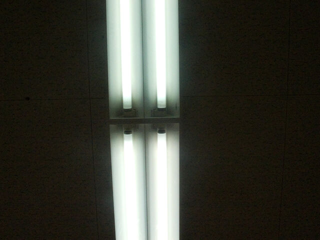 260434-hillairet_neons-118.jpg