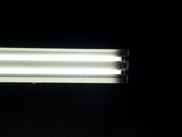 260425-hillairet_neons-104.jpg