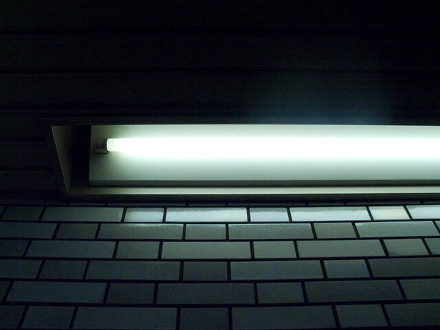 260417-hillairet_neons-095.jpg