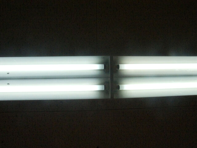 260432-hillairet_neons-117.jpg