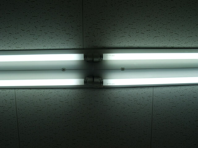 260359-hillairet_neons-015.jpg