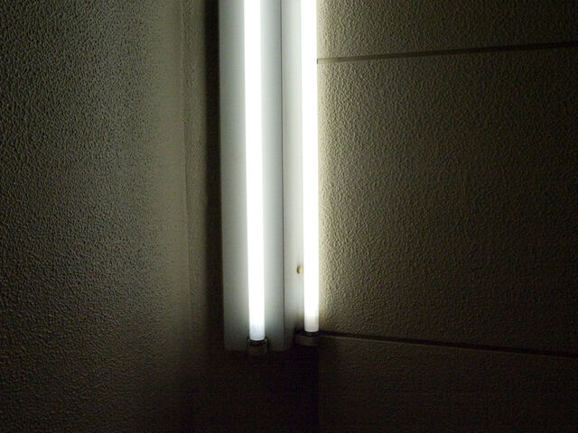 260418-hillairet_neons-096.jpg
