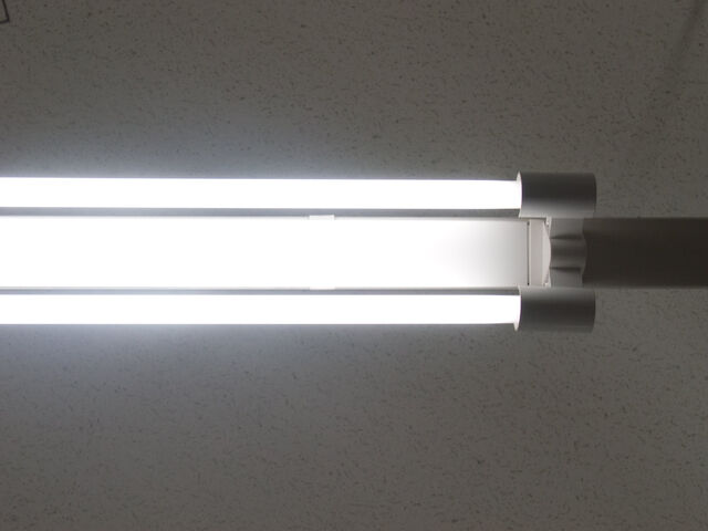 260393-hillairet_neons-058.jpg