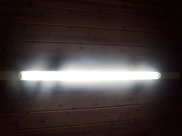 260421-hillairet_neons-100.jpg